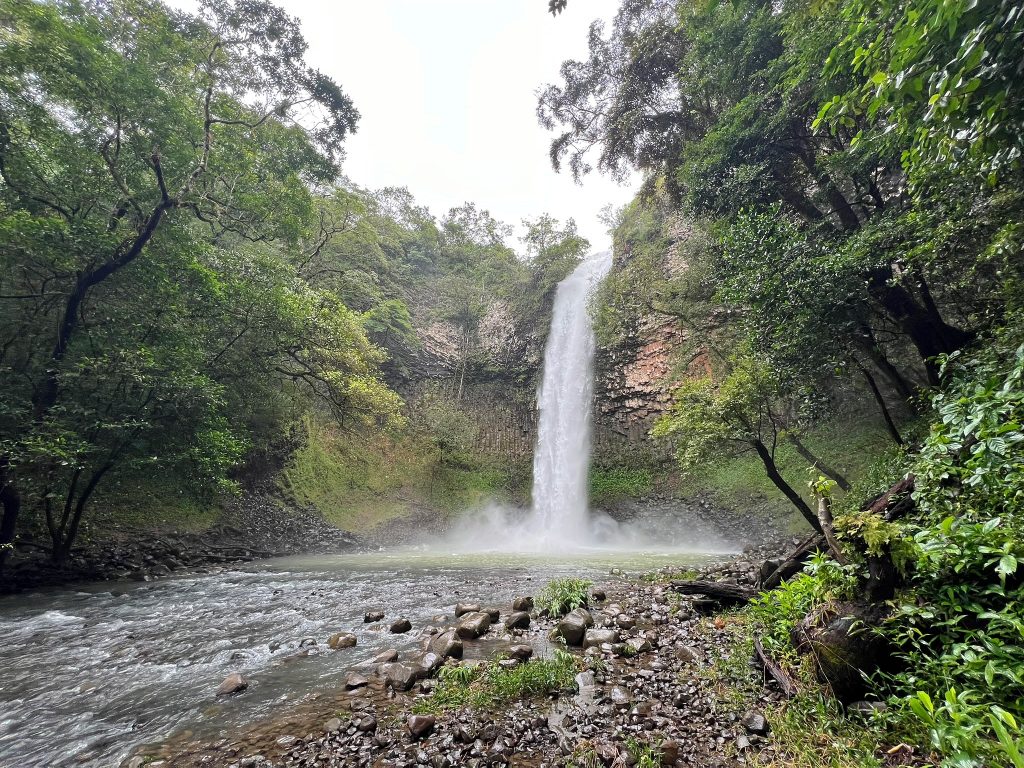 El Salto de las Palmas