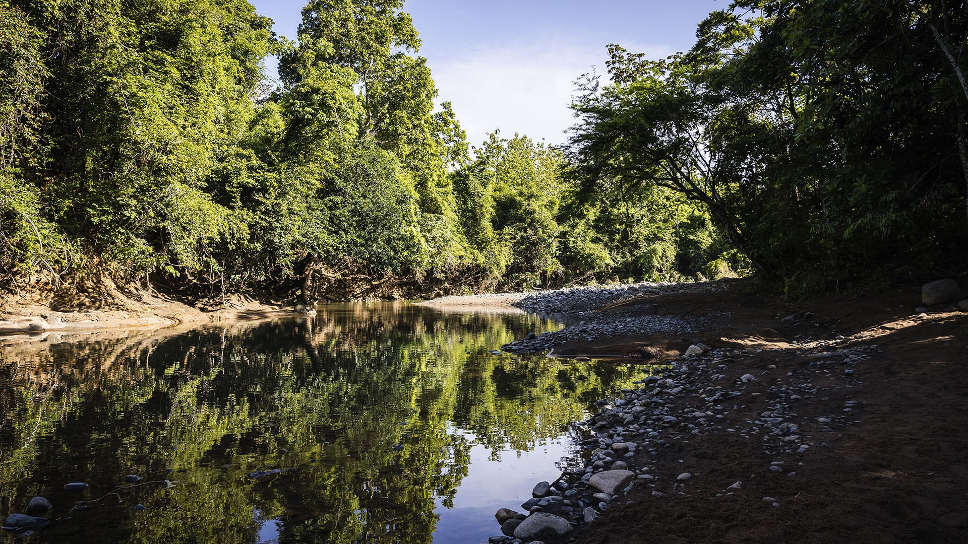 Marea Verde