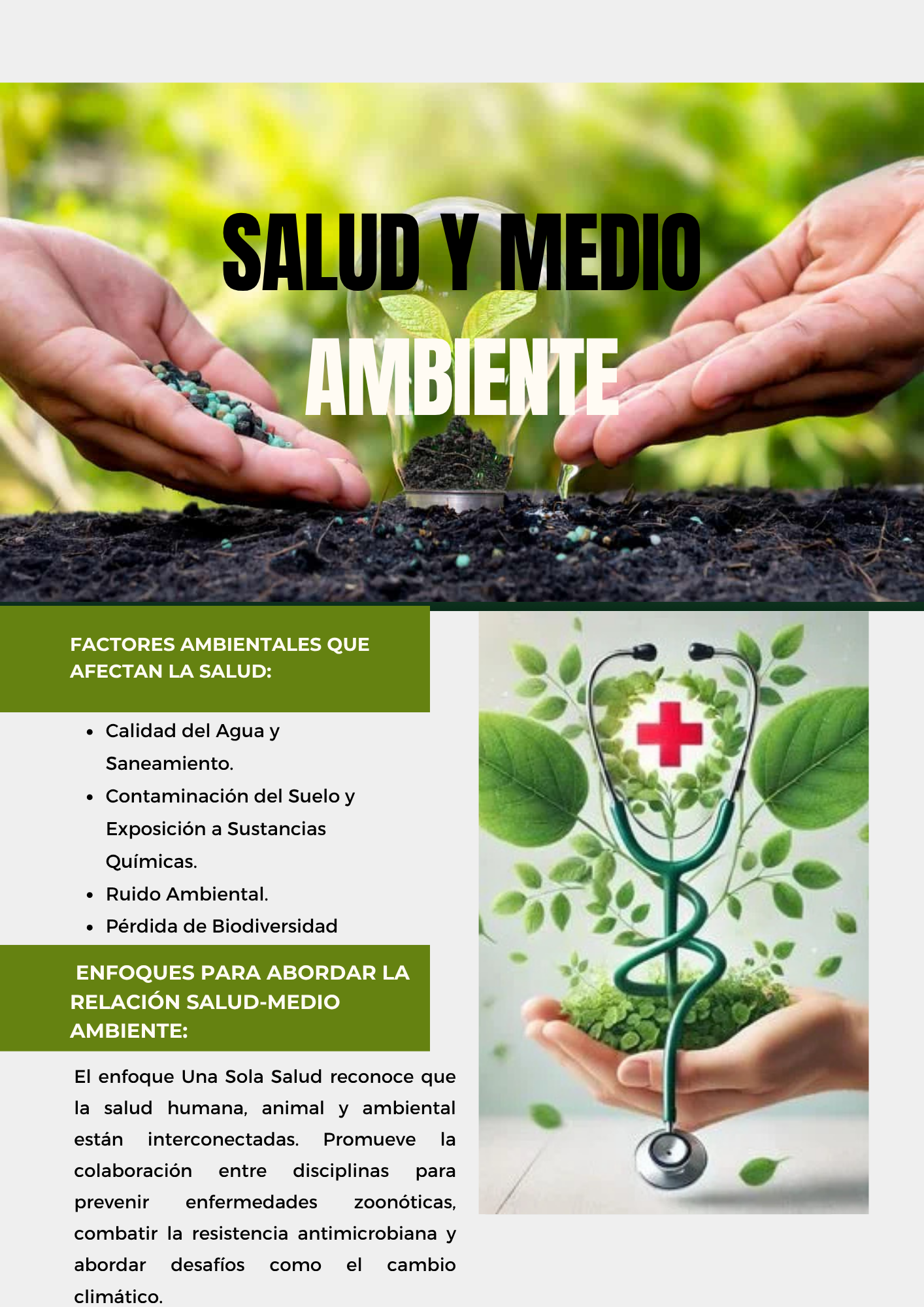 Panfleto Ambiental 1