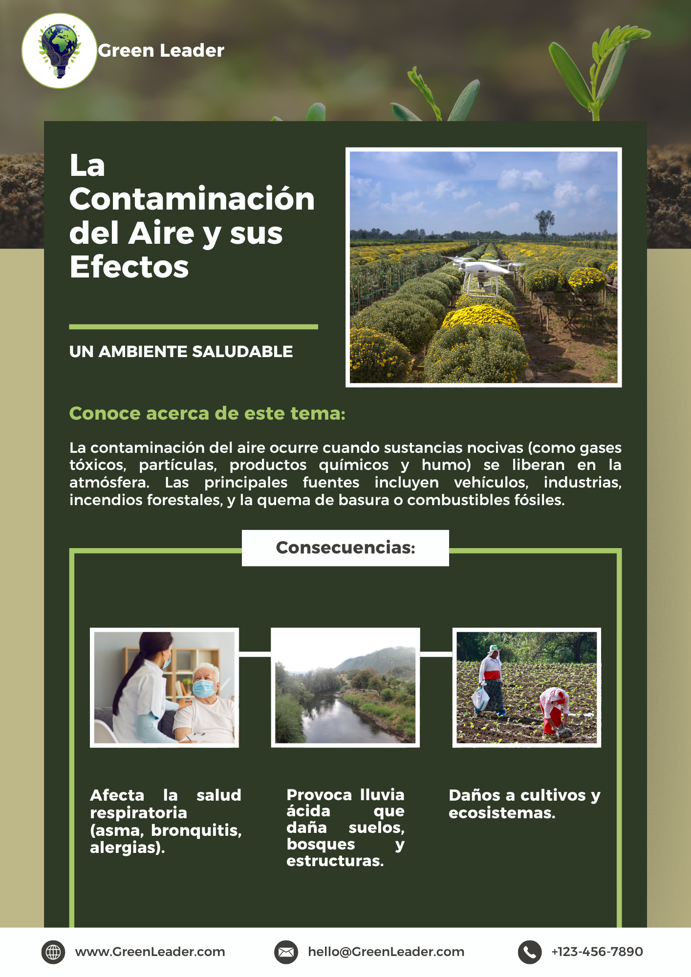 Panfleto Ambiental 1