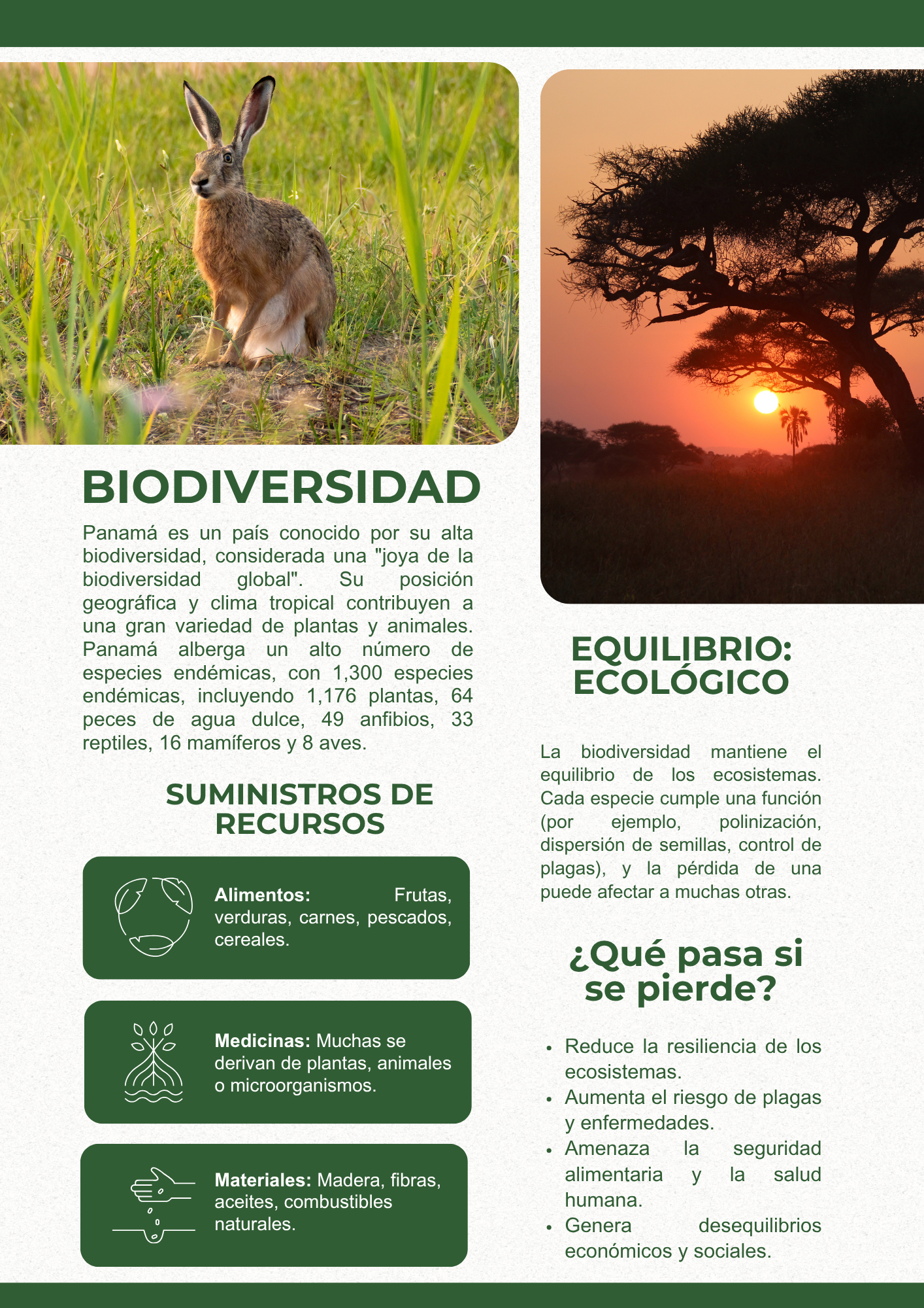 Panfleto Ambiental 1