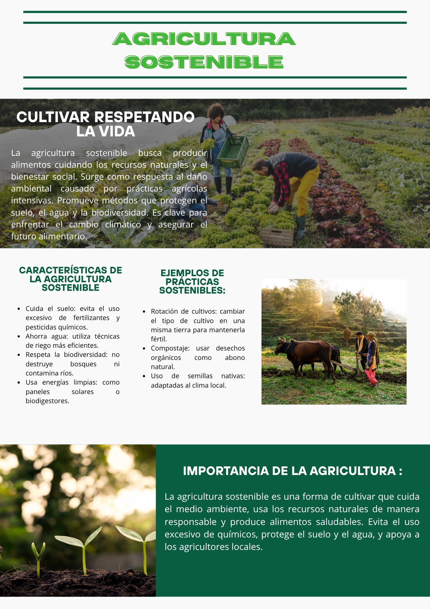 Panfleto Ambiental 1