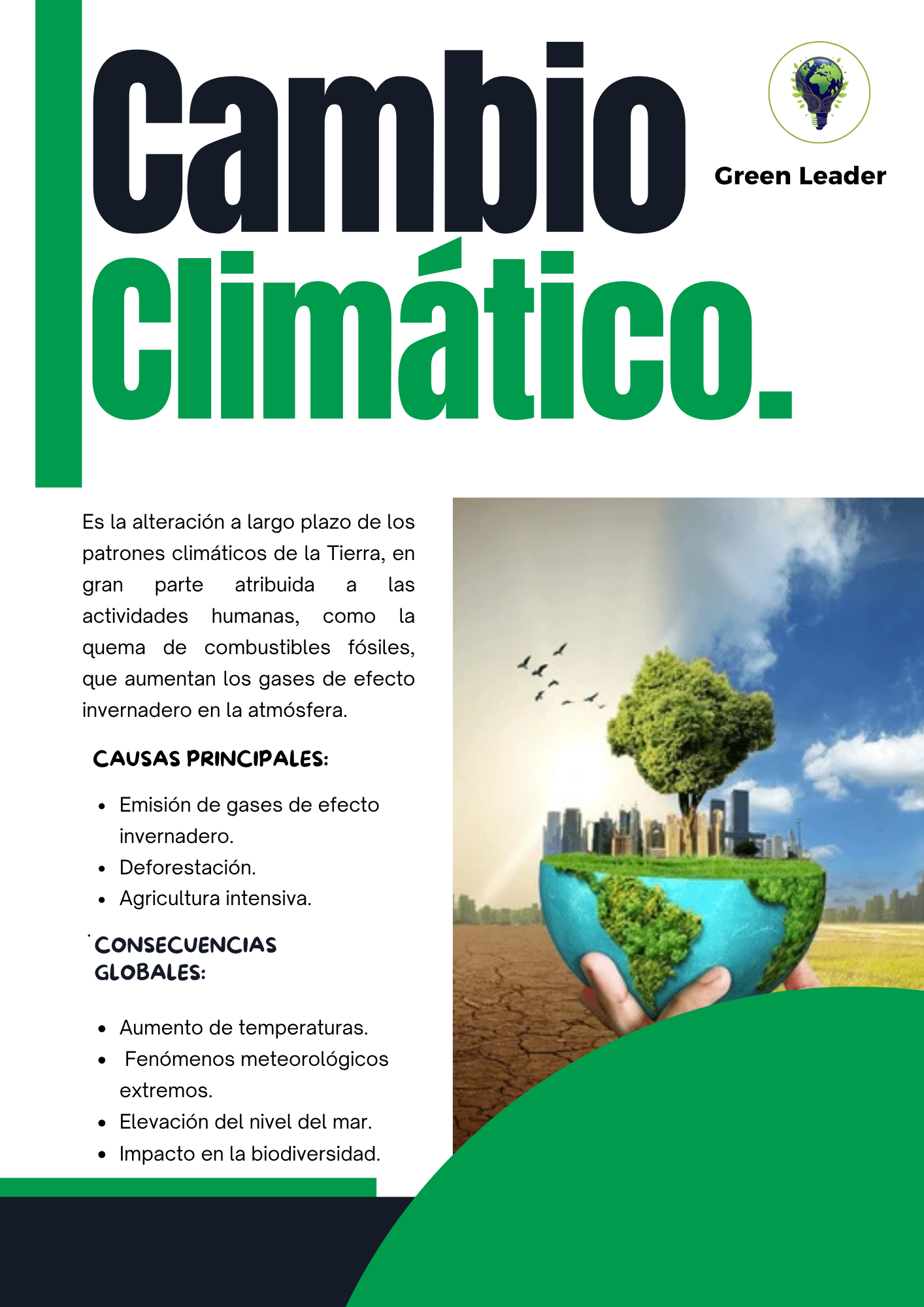 Panfleto Ambiental 1