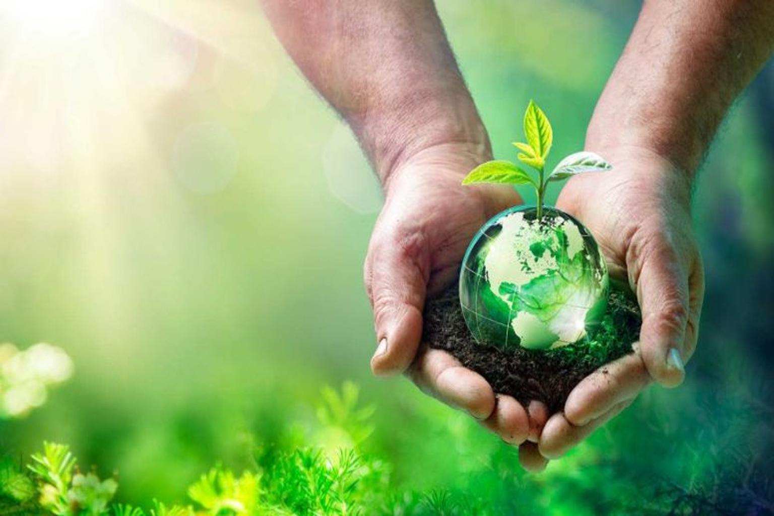 Conciencia ambiental