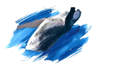 ballenas