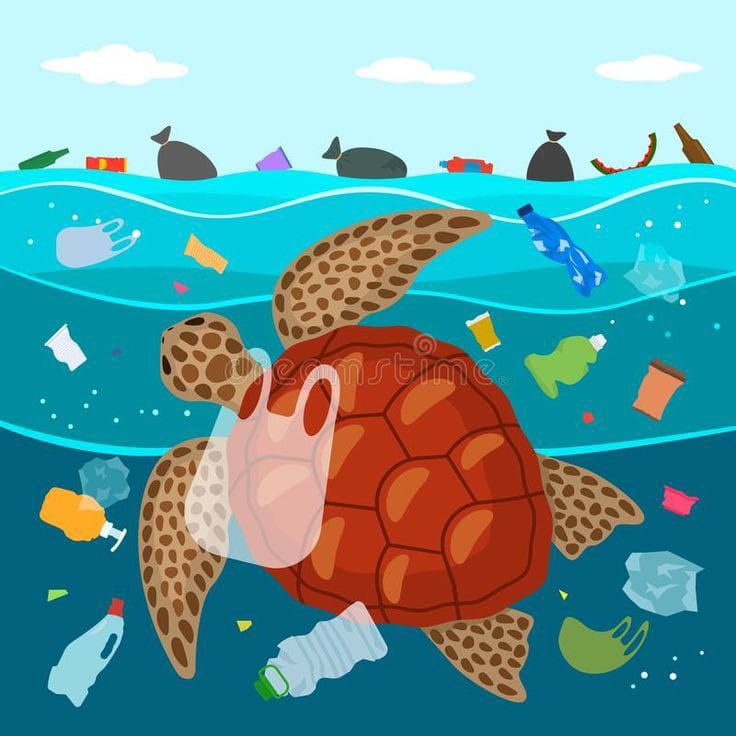 Contaminación