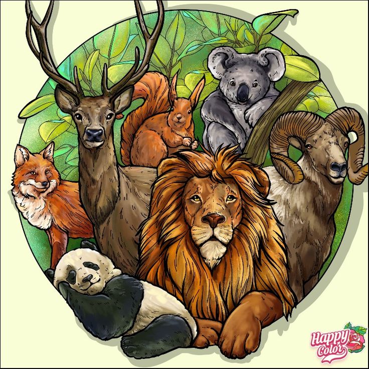 Biodiversidad